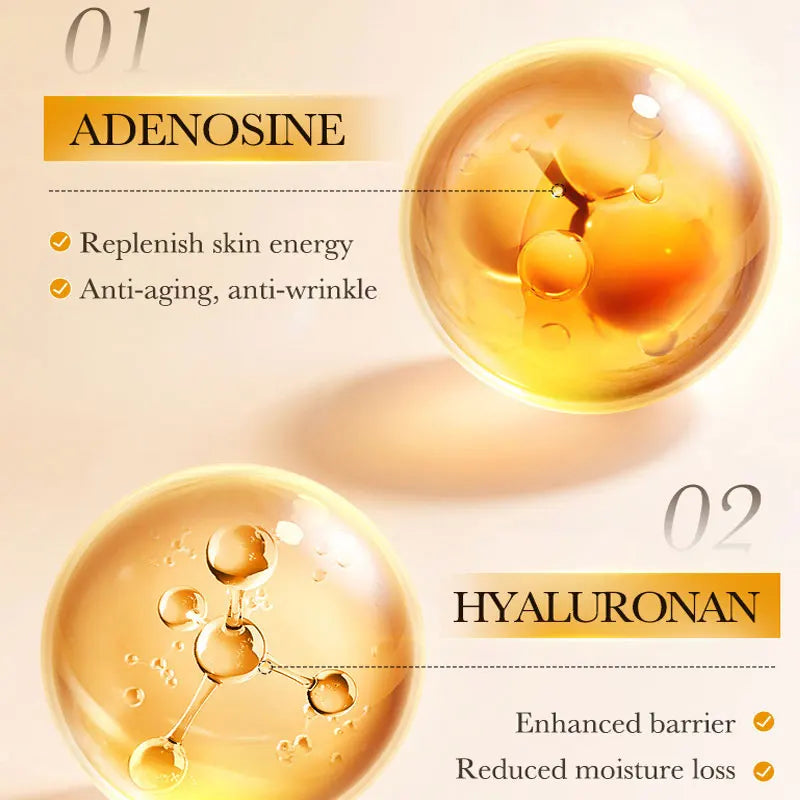 Retinol Peptide Anti-Wrinkle Serum