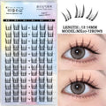 Assorted Manga Lash Clusters